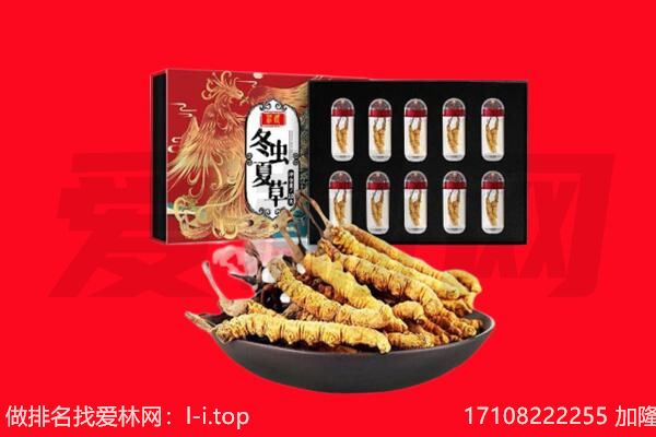 邢台新河县回收虫草.jpg